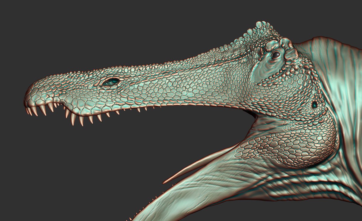 ArtofFabricious's tweet image. In a feeble attempt of getting my following back up and running, here's some updates on Suchomimus tenerensis. Leaning heavily into the reptilian influence with this one and I like it so far.
