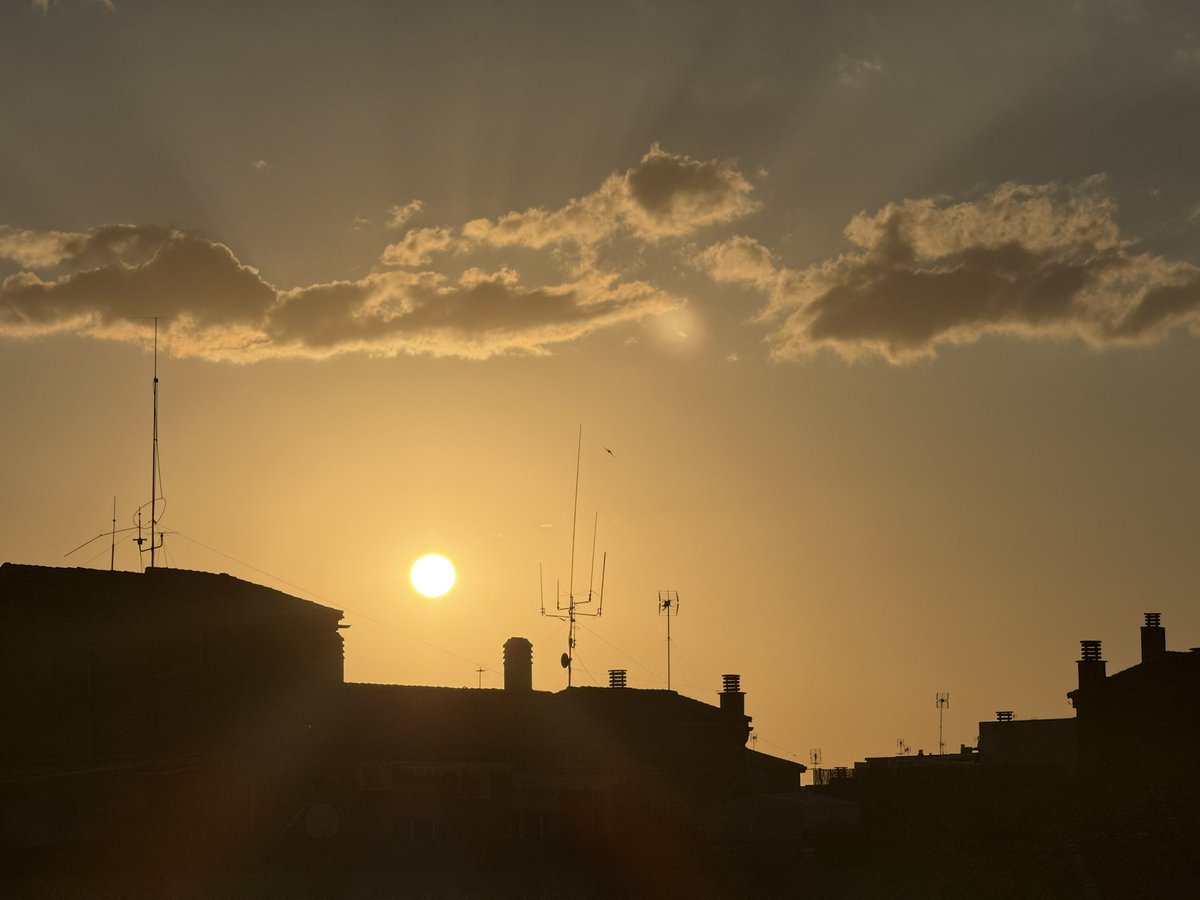 ElislotedeCaro's tweet image. 🌅