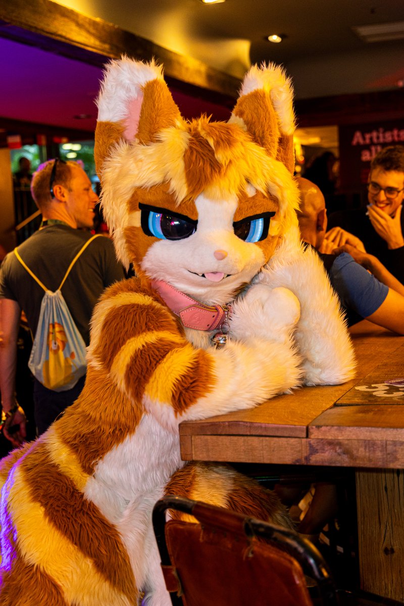 Would you give this car a drink??
🐱 <a href="/Kitzen_Waffles/">Waffles</a> 
📍 <a href="/LondonFurs/">LondonFurs</a>  
#FursuitFriday