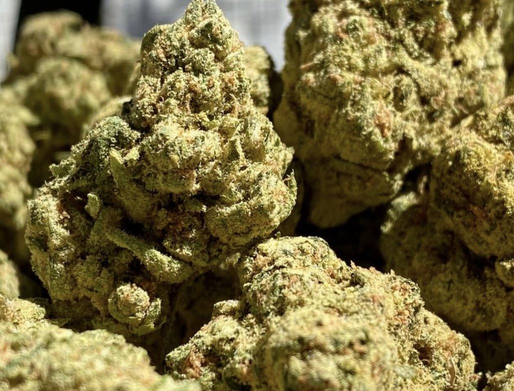 High Octane is a creamy, smooth hybrid crossed with Sunset Serbert and Octane.