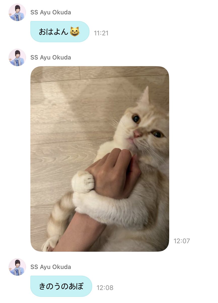 397513_'s tweet image. 아유짱 고양이 아포쨩 귀여워
고양이사진 더 보내줬으면 좋겠다