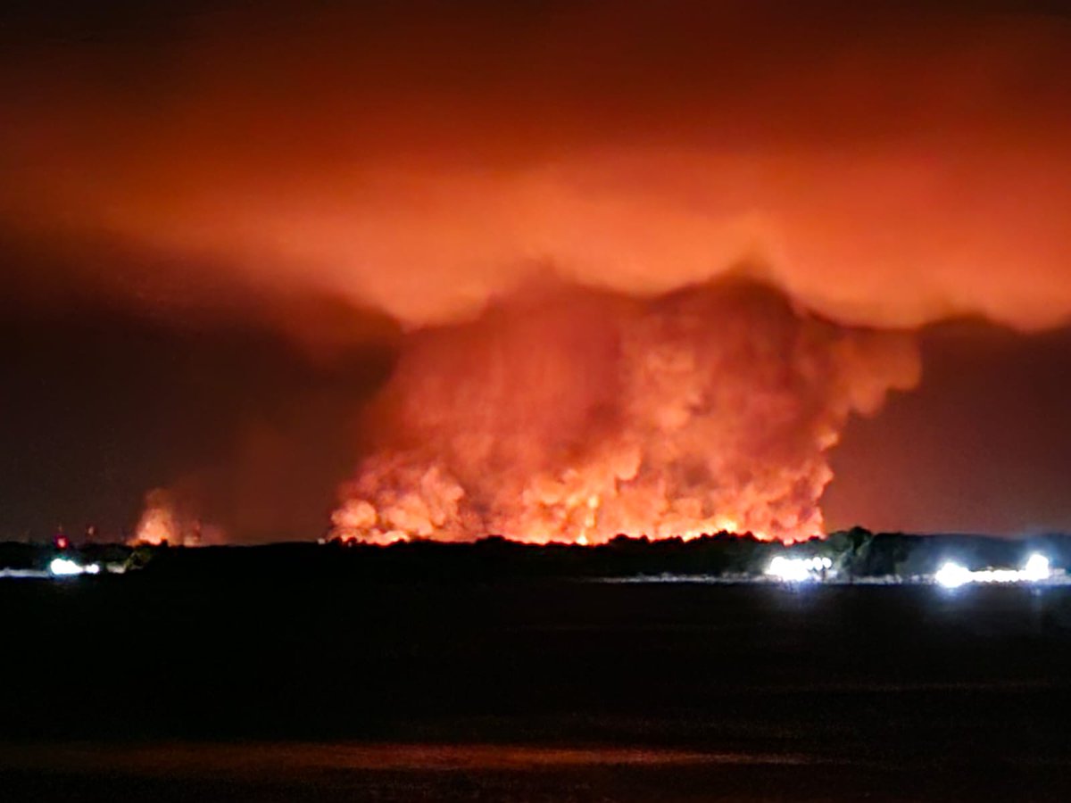 Mi piange il cuore.
Un'oasi naturalistica con una ricchezza faunistica che richiama ricercatori e ornitologi da tutto il mondo subisce il 2° incendio in pochi giorni.
Maledetti mafiosi. Voi non avete un'anima. È morta da tempo.
#Gargano
#OasiLagoSalso
#lamafiaèunamontagnadimerda
