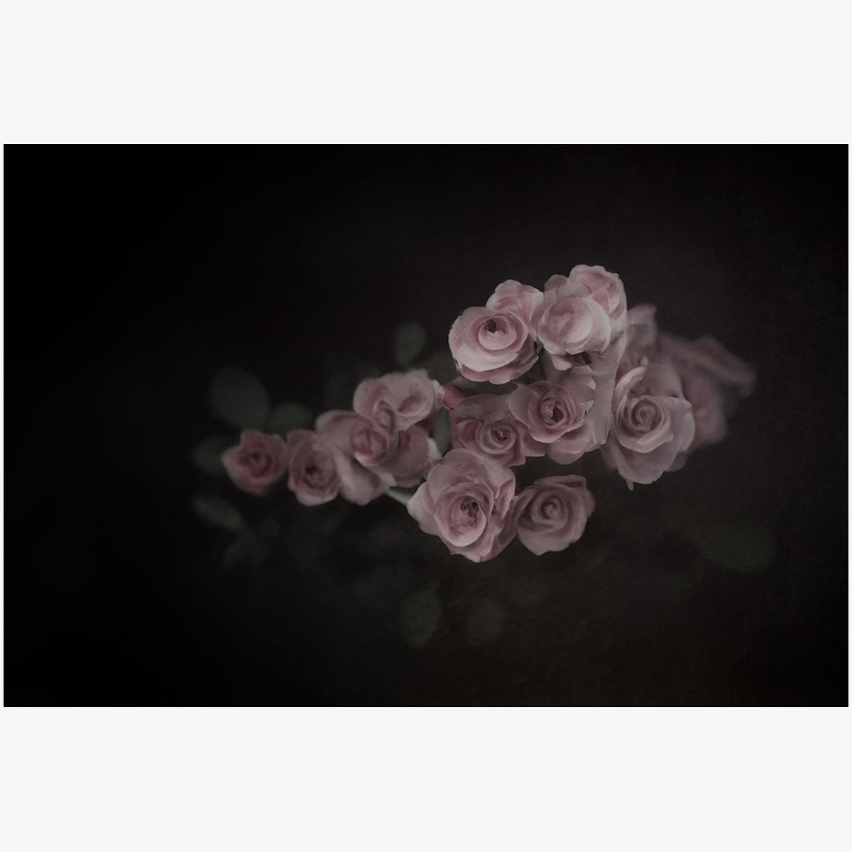 kenkenken (@kenkenkazkaz222) on Twitter photo 