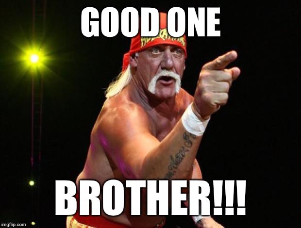 TonyRiccIV's tweet image. Reportedly Hogan will be cremated…because no one buries the Hulkster, brother