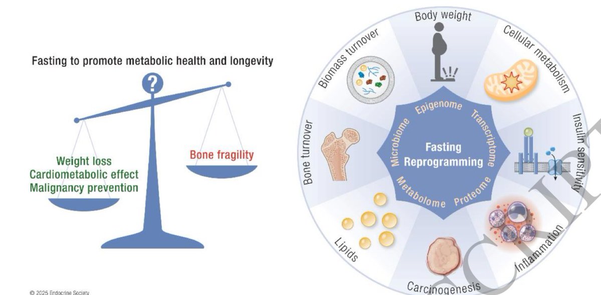 DanielJDrucker's tweet image. Fasting, metabolism #longevity and health. Benefits, risks and unknowns academic.oup.com/edrv/advance-a…