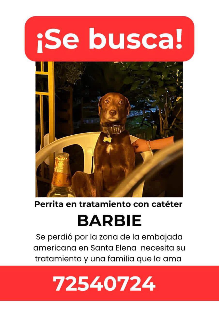 DameTuPatasv's tweet image. Se busca - Ayuda
Por favor compartamos para que pueda regresar a casa