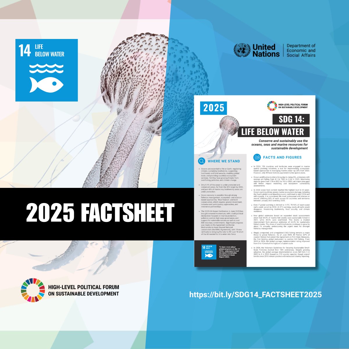 UNDESA's tweet image. From food to jobs to the environment, the ocean economy is critical for millions worldwide.

Yet, the ocean faces intensifying threats from overfishing, pollution &amp;amp; climate change.

#HLPF works to protect 🌊🪸🐳 for generations to come.

More on #SDG14: bit.ly/SDG14_FACTSHEE…