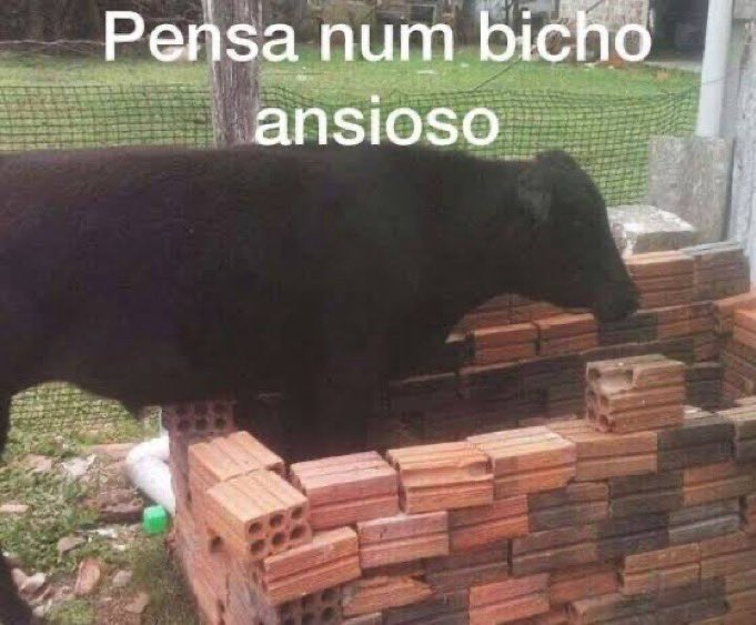 hdbngrrr's tweet image. eu sou essa foto