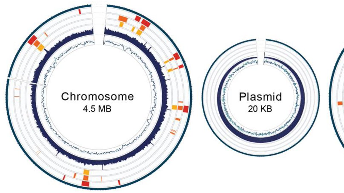 Raúl González-Pech (@raulgoch.bsky.social) tweet media