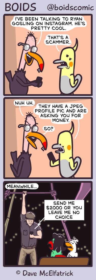 davemcelfatric's tweet image. There was definitely room for a Gosling joke here but maybe another time. Follow @boidscomic for more.