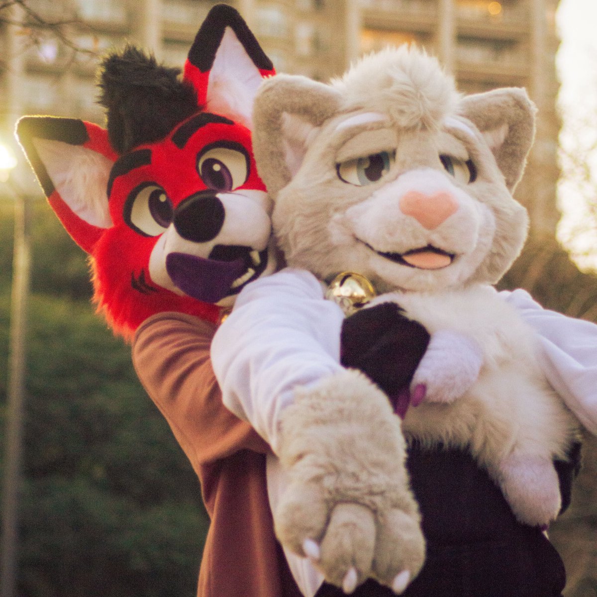 Adopte un michi !!

🪡 <a href="/koshkafursuits/">Koshka Fursuits</a> 
📸 <a href="/Arux_96/">Arux_96</a> &amp; lou338

#FursuitFriday