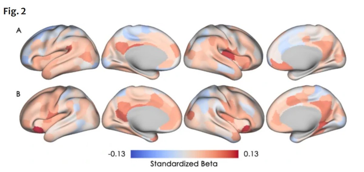 GeroScience (@geroscienceage) on Twitter photo 📢Breaking: New Open🔓 Access Publication
Subjective memory concern, negative affect, and cortical microstructural integrity in community-dwelling middle-aged men by Rongxiang Tang (<a href="/RongxiangTang/">Rongxiang Tang</a>) & William S. Kremen et al.
rdcu.be/exRUB
#memoryconcern 📢Breaking: New Open🔓 Access Publication
Subjective memory concern, negative affect, and cortical microstructural integrity in community-dwelling middle-aged men by Rongxiang Tang (<a href="/RongxiangTang/">Rongxiang Tang</a>) & William S. Kremen et al.
rdcu.be/exRUB
#memoryconcern