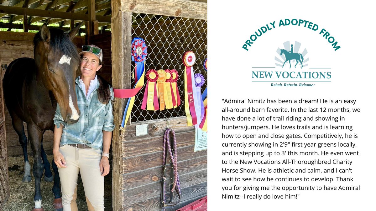 NewVocations's tweet image. ☀️ #SuccessStorySunday -- ADMIRAL NIMITZ (GB) by Kingman (GB) is a 2021 Thoroughbred gelding with 2 starts in his racing career. He was adopted out of New Vocations' Ocala, FL facility for a second career as a hunter/jumper. @PletcherRacing