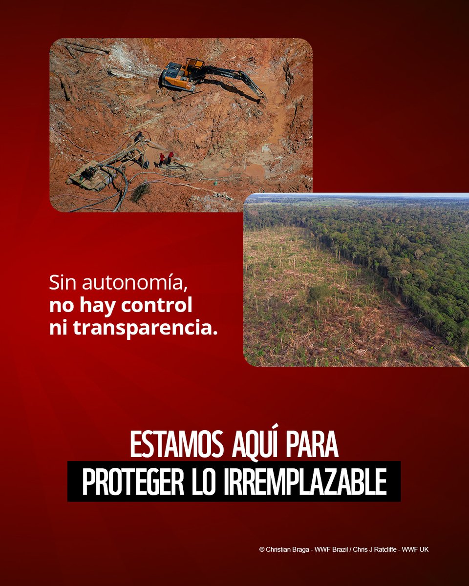 ⚠️ WWF-Ecuador expresa su preocupación ante la reforma institucional del Ejecutivo que fusiona el Ministerio del Ambiente, Agua y Transición Ecológica  con el Ministerio de Energía y Minas.
🔗 Hacemos un llamado firme para que el ambiente no pierda su voz: dub.sh/Pronunciamient…