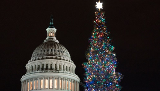 KOLO8's tweet image. Federal officials visited Humboldt-Toiyabe National Forest to select 2025 Christmas tree for West Lawn of the Capitol in Washington, D.C.

The selection committee narrowed search to the Carson Range around Reno or the Spring Mountains in s. NV.

Details: shorturl.at/3ngvp