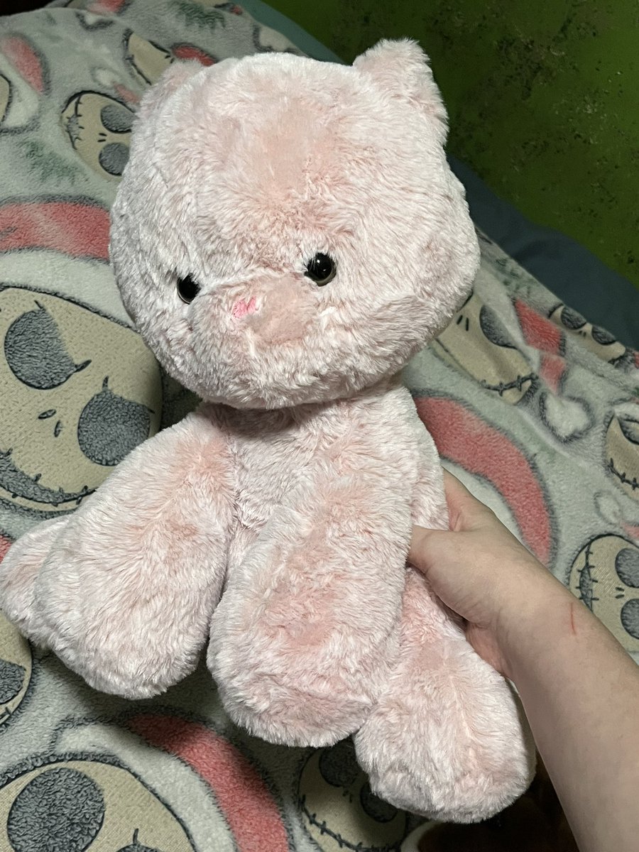 bugkandi's tweet image. stuffies i got at the thrift store yesterday!
i also got some clothes :)