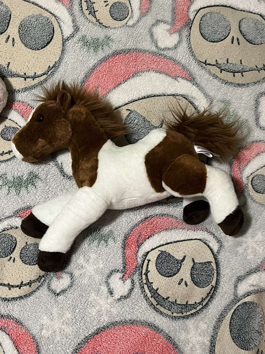 bugkandi's tweet image. stuffies i got at the thrift store yesterday!
i also got some clothes :)