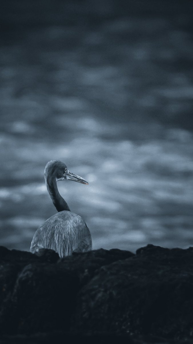 Fahad Abri (@fahadabri99434) on Twitter photo 