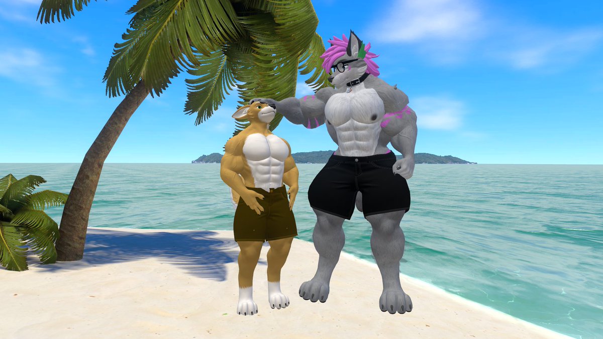 DoomBoy64's tweet image. Spent a day at the beach with @TungaTheWolf, just two big fellas having fun