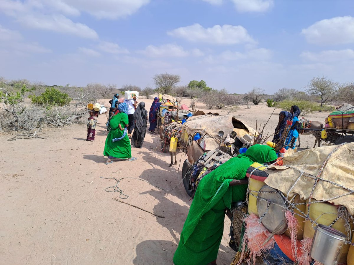 "Let yourself be silently drawn by the strange pull of what you really love. It will not lead you astray"~ Rumi