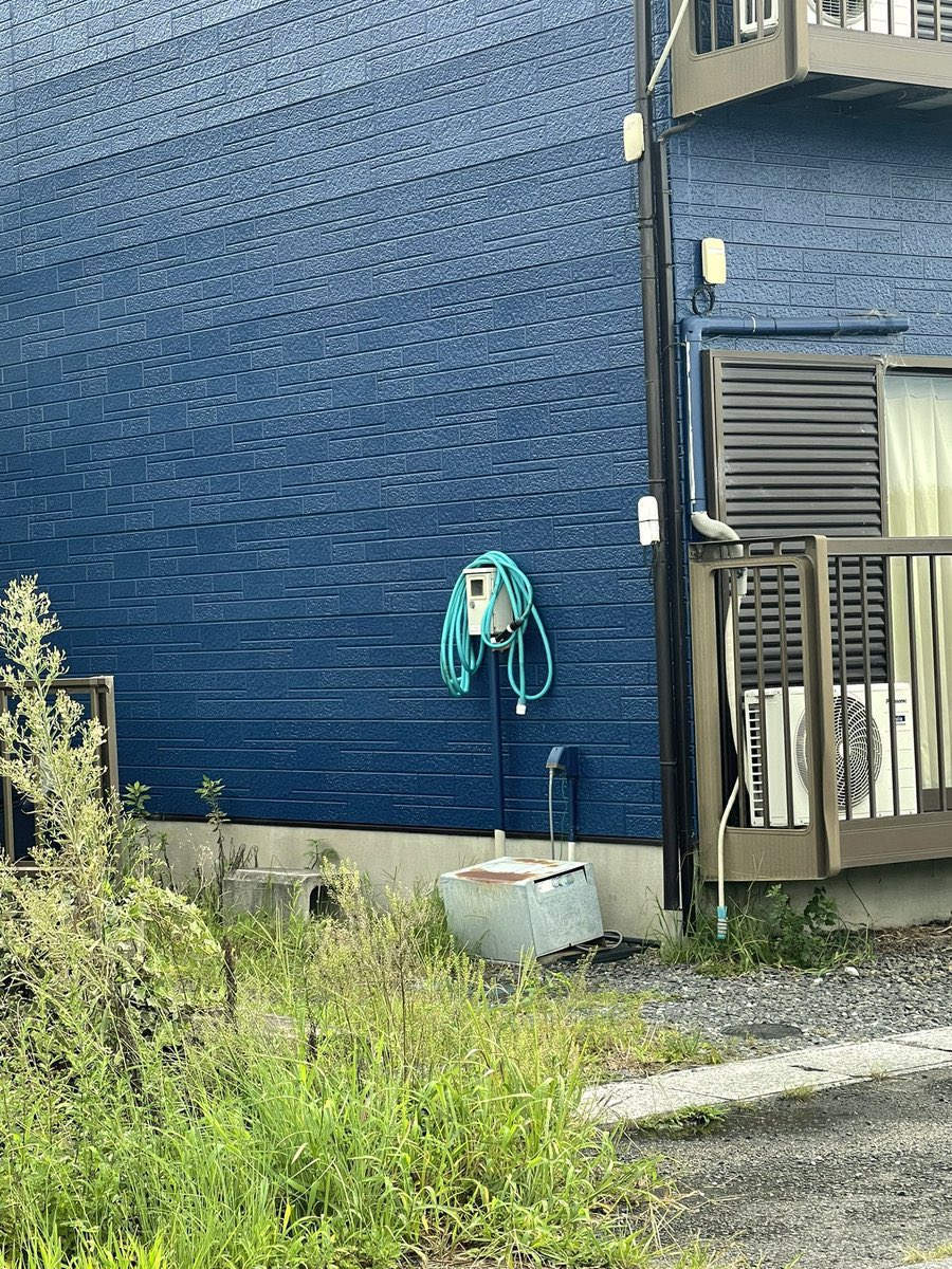 There are Mikus everywhere for those with eyes to see…