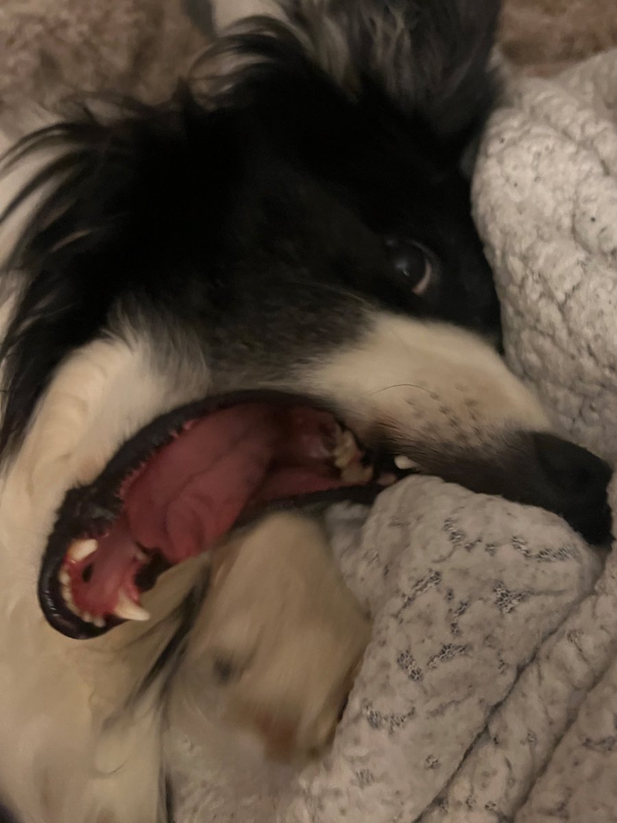 ReminisceJB's tweet image. I’m at the point of my vacation where I wonder what Ellie is up to