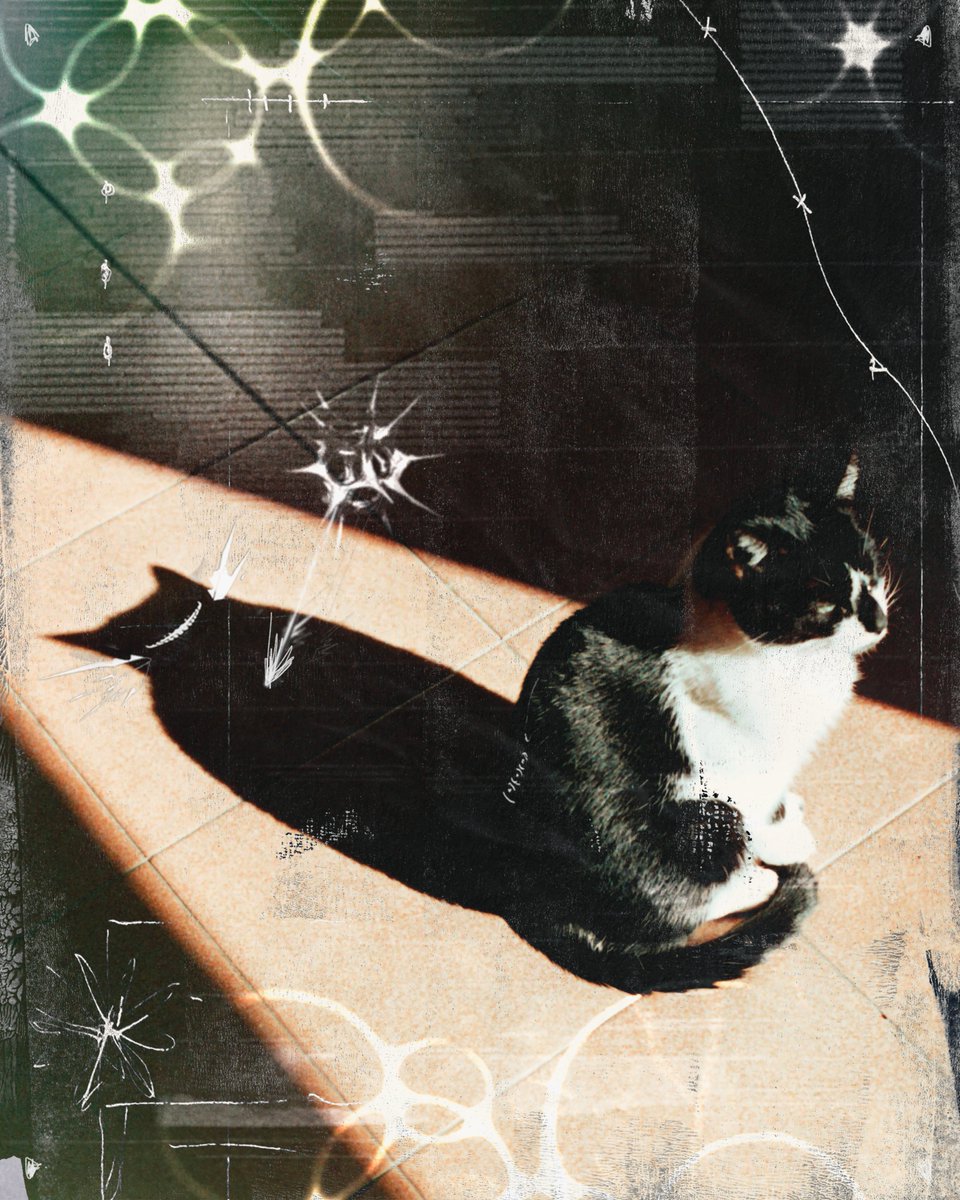notangra's tweet image. SOLD OUTπ½
This was the piece I created for the #objkt4objkt event β and just a moment ago, the last edition found a home πΎπ€
Thank you to everyone who collected this little beautiful and evil kitty β¨