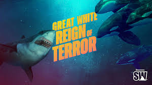 RED_Cinema's tweet image. 'Great White Reigns of Terror' airs tonight at 8PM ET on Discovery and streams on HBO Max. After nine attacks off South Africa’s Wild Coast, experts race to find answers before another fatal encounter. Shot on RED’s #HELIUM8K by Andy Casagrande. #SharksonRED #SharkWeek