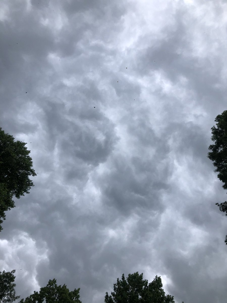 🌫️It got seriously dark and windy instantly and the clouds look ominous. 
It is really windy. It’s raining now.