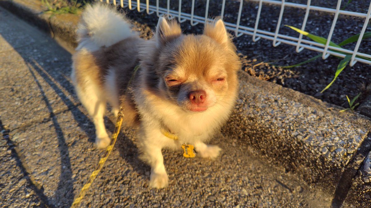 おはよう👋😆✨☀