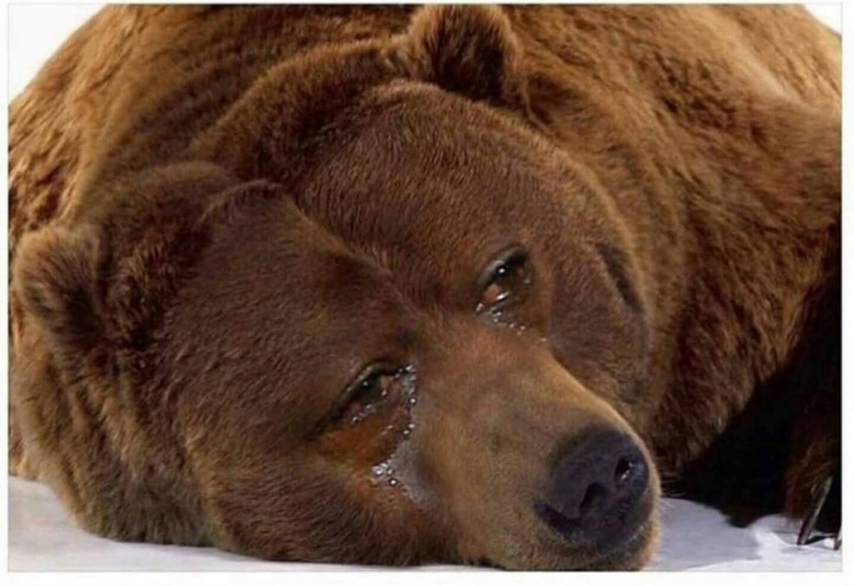 JesseCohenInv's tweet image. 🚨Just In: The S&P 500 just posted its fifth straight record close this week.
Are there any bears left on Wall Street?