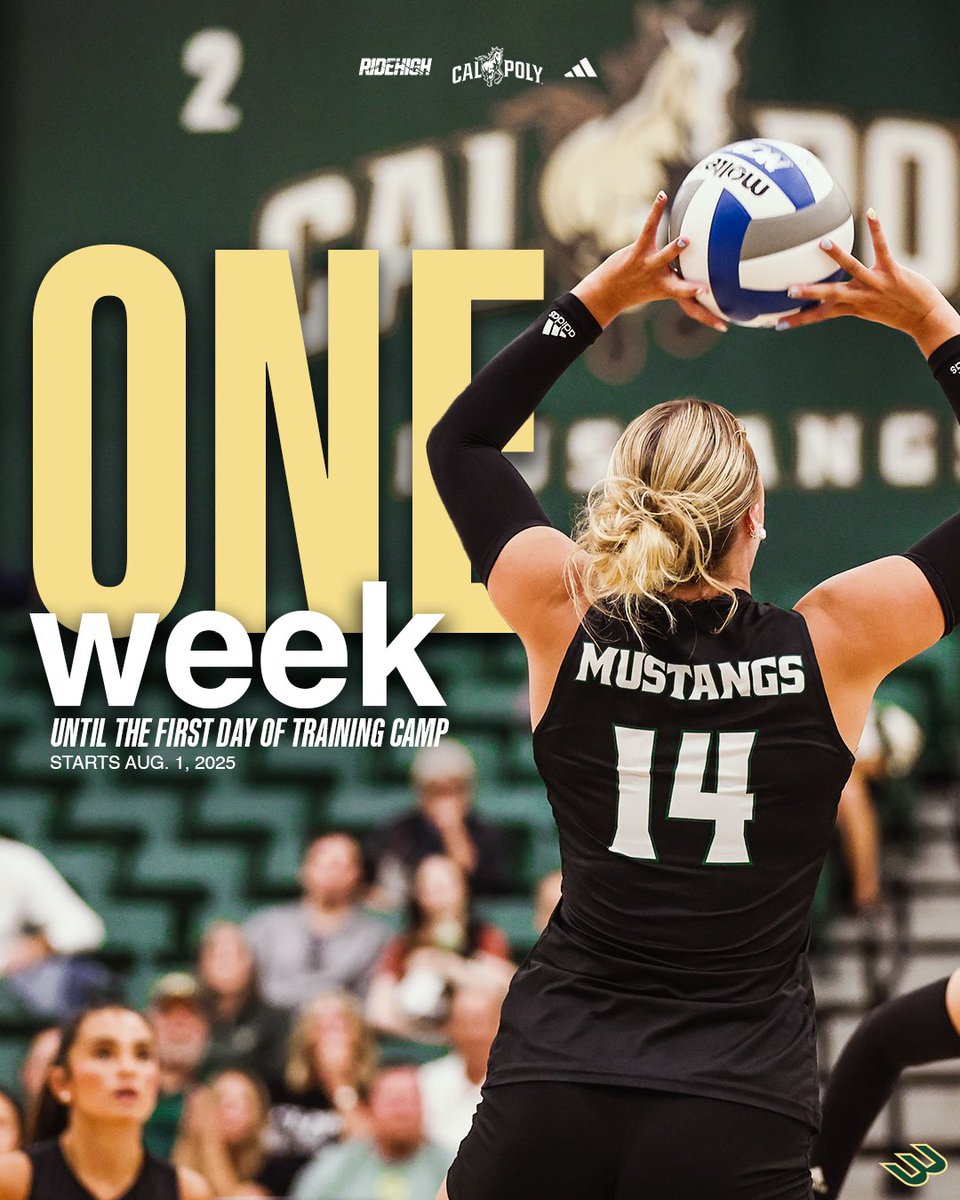 CalPolyVolley's tweet image. Start the countdown! ⏰
Just one week until training camp! 🏐
#RideHigh