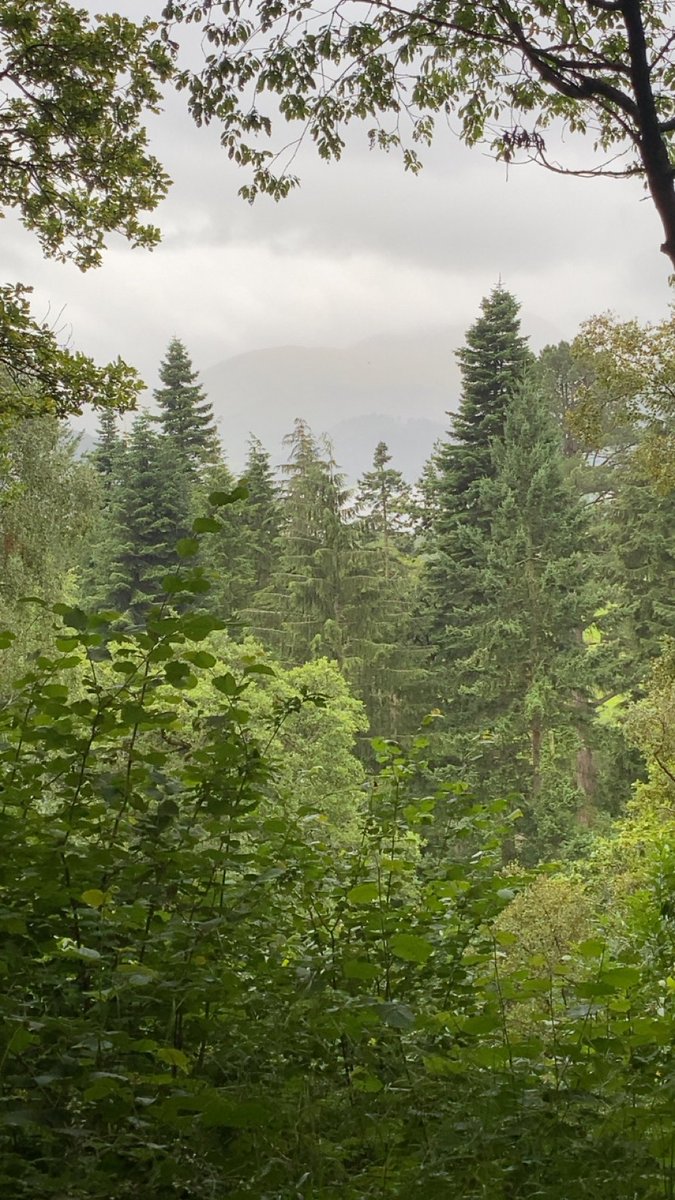 Football2017 tweet media