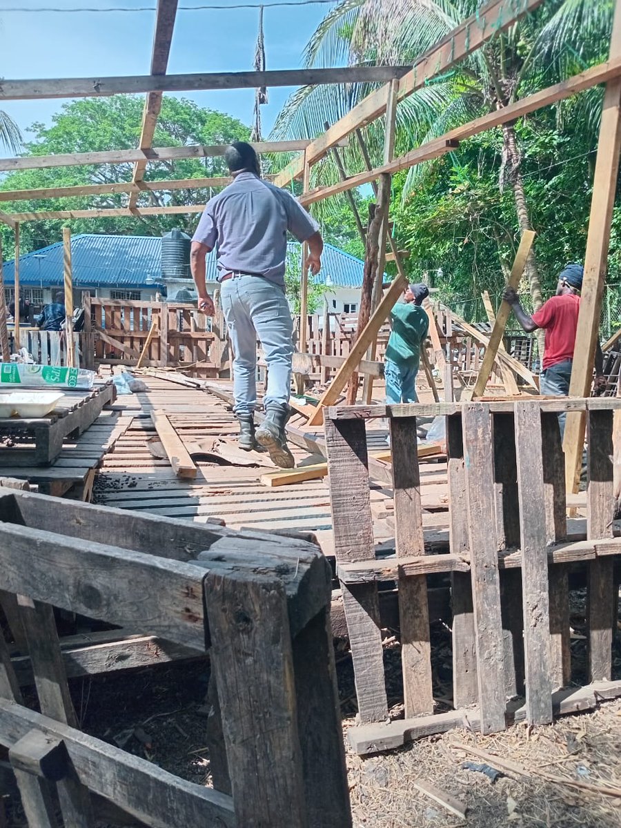 FAOCaribbean's tweet image. 🇯🇲 Training in goat rearing under the #ImprovingRuralLivelihoods project has wrapped up! Spring Village Foundation led Kitson Town beneficiaries through hands-on sessions to build skills for resilient and profitable livestock farming. 🐐🌱 @UNOSSC @UNJamaica @hcikingston