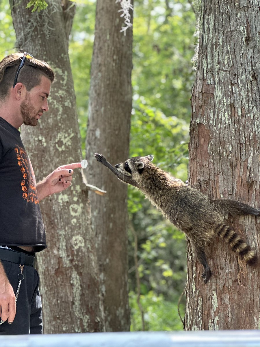 I’m trying reach out I’m hungry for marshmallows lol , and custom content only fans 10$ month onlyfans come find me babyyyyy #Louisiana