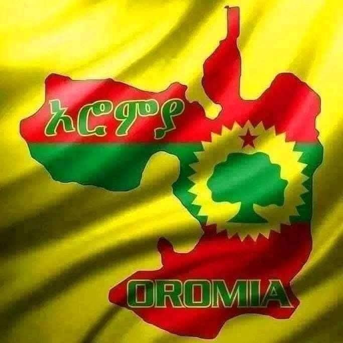 Abdirahman155A's tweet image. According to the Gadabursi, Awbare and Hawara are no longer a part of Somali region. Before it was canfar cali and samaron cali now oromo cali vs samaron cali ?😂😂😂