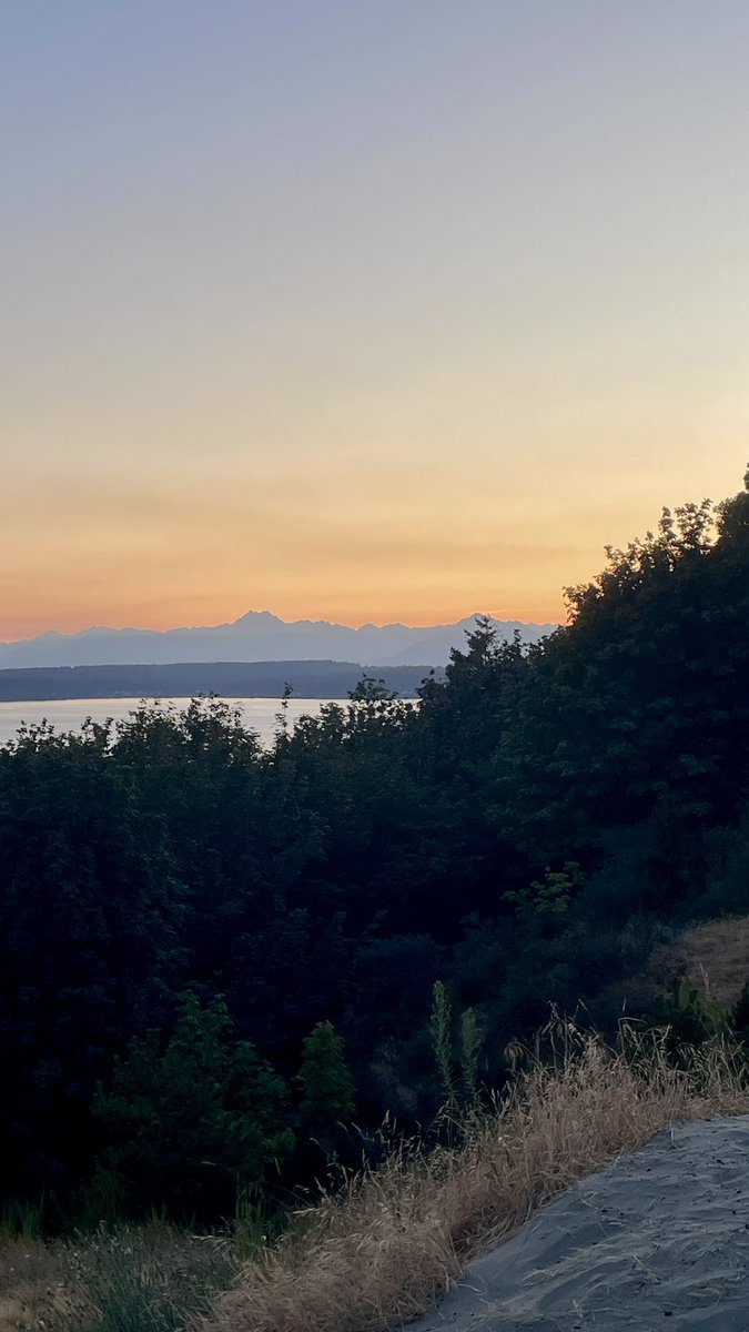 shepard_tina's tweet image. I'm loving the sprinkles today, but last night's sunset at Discovery Park was magical. #wawx @MtRainierWatch