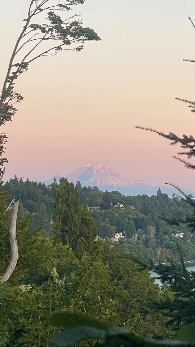 shepard_tina's tweet image. I'm loving the sprinkles today, but last night's sunset at Discovery Park was magical. #wawx @MtRainierWatch