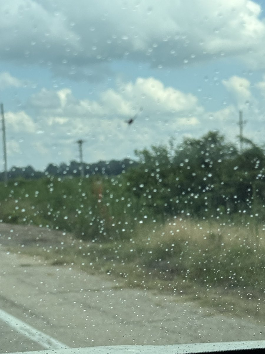spfeffer's tweet photo. @ryanvaughan I had a few raindrops coming into Walnut Ridge from Portia a while ago. It didn’t last long. https://t.co/d3tA8Nc0Iz