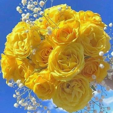Gabriel M11 (@gabriel83261555) on Twitter photo FOLLOW ALL✅️
<a href="/Nyashadzai5011/">Muskana weGokwe</a>
<a href="/Gabriel99__M/">Gabriel M11</a>
<a href="/1Reett/">𝒜ℬ𝒟𝒪</a>
<a href="/BabereManCity/">Babe reManCity</a>
<a href="/1Tmgus/">GUS/1/³ 🐐</a>
<a href="/soste1M/">Sos10</a>
<a href="/KentoddyM/">Kentoddy</a>
<a href="/blessmufari/">Blessing Mufari</a>
<a href="/muvalya/">mwalimu wa shule Mr kamau</a>
<a href="/Natron_02/">𝓡𝓸𝓷𝓷𝔂</a>
<a href="/mkomaronix/">Ronix</a>
<a href="/ronahmles/">Ronah KE🇰🇪</a>
<a href="/Yadny_AX/">BABYFACE STEEZE 🧸 🧸😂</a>
<a href="/PFr1end/">Paul Friend🌹Pray God saves us from liberals</a>
<a href="/BossG_Spectre/">BossG🇿🇼</a>
<a href="/Samuel47577643/">Samuel</a>
<a href="/staneve02/">MuKoMaNa WeMaDeAls🇿🇼(stanaz)</a>
<a href="/AM22_2a/">فاطمه علي (Flower Ali)</a>
<a href="/i_am_ccriss/">trent_🇿🇼</a>
<a href="/Jolah4847/">Darwin</a>
F-B Guranteed💯 FOLLOW ALL✅️
<a href="/Nyashadzai5011/">Muskana weGokwe</a>
<a href="/Gabriel99__M/">Gabriel M11</a>
<a href="/1Reett/">𝒜ℬ𝒟𝒪</a>
<a href="/BabereManCity/">Babe reManCity</a>
<a href="/1Tmgus/">GUS/1/³ 🐐</a>
<a href="/soste1M/">Sos10</a>
<a href="/KentoddyM/">Kentoddy</a>
<a href="/blessmufari/">Blessing Mufari</a>
<a href="/muvalya/">mwalimu wa shule Mr kamau</a>
<a href="/Natron_02/">𝓡𝓸𝓷𝓷𝔂</a>
<a href="/mkomaronix/">Ronix</a>
<a href="/ronahmles/">Ronah KE🇰🇪</a>
<a href="/Yadny_AX/">BABYFACE STEEZE 🧸 🧸😂</a>
<a href="/PFr1end/">Paul Friend🌹Pray God saves us from liberals</a>
<a href="/BossG_Spectre/">BossG🇿🇼</a>
<a href="/Samuel47577643/">Samuel</a>
<a href="/staneve02/">MuKoMaNa WeMaDeAls🇿🇼(stanaz)</a>
<a href="/AM22_2a/">فاطمه علي (Flower Ali)</a>
<a href="/i_am_ccriss/">trent_🇿🇼</a>
<a href="/Jolah4847/">Darwin</a>
F-B Guranteed💯