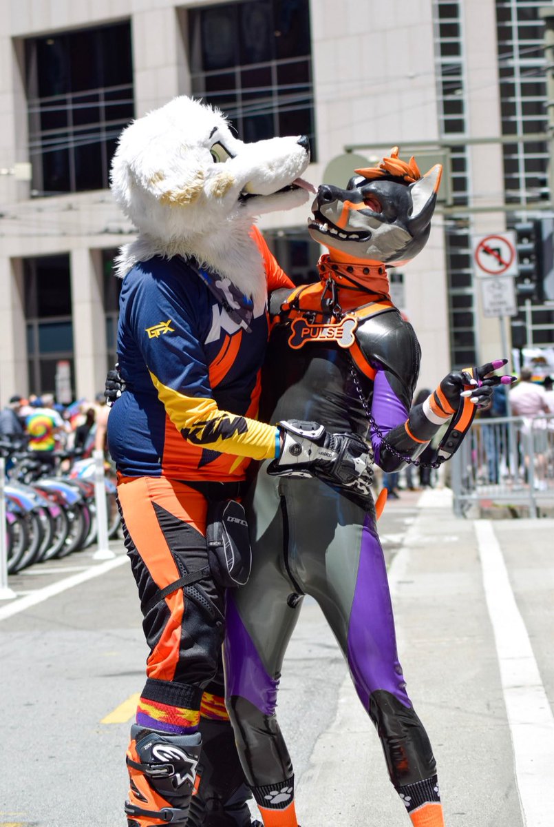 Pulse 🍊✨ (@pulsecheead) on Twitter photo Who’s excited for Dore Alley this weekend? Is it you? Is it you?? Yes it is! It’s you! You’re a silly Dore Alley puppy yes you areeee *aggressive head pats*
🐕: <a href="/BestPup/">Chance @Best Pup</a>
📸: Pup Apex
#fullsuitFriday #fullcoverageFriday Who’s excited for Dore Alley this weekend? Is it you? Is it you?? Yes it is! It’s you! You’re a silly Dore Alley puppy yes you areeee *aggressive head pats*
🐕: <a href="/BestPup/">Chance @Best Pup</a>
📸: Pup Apex
#fullsuitFriday #fullcoverageFriday