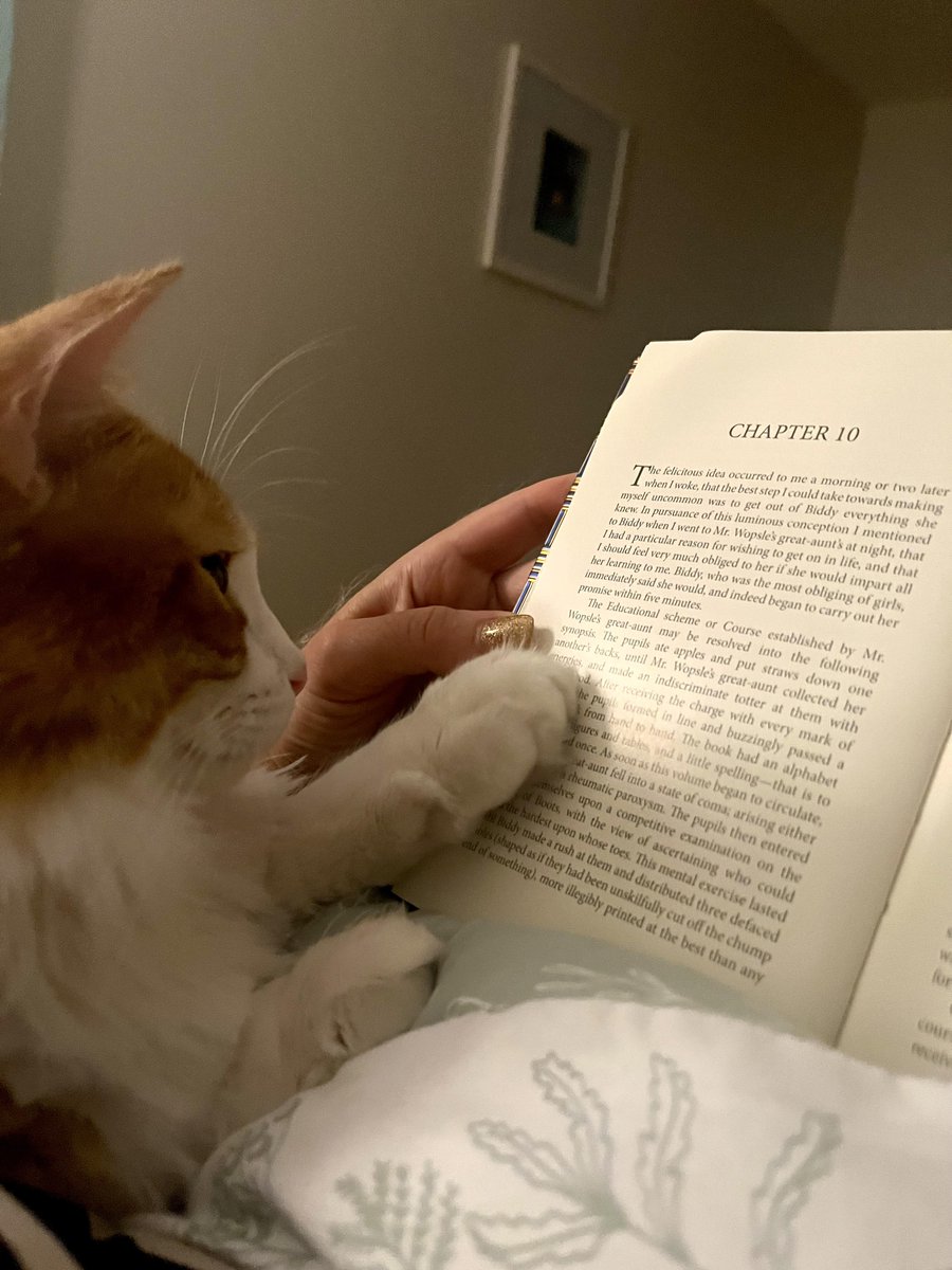 The cats and I had a long week and are off to read in bed.