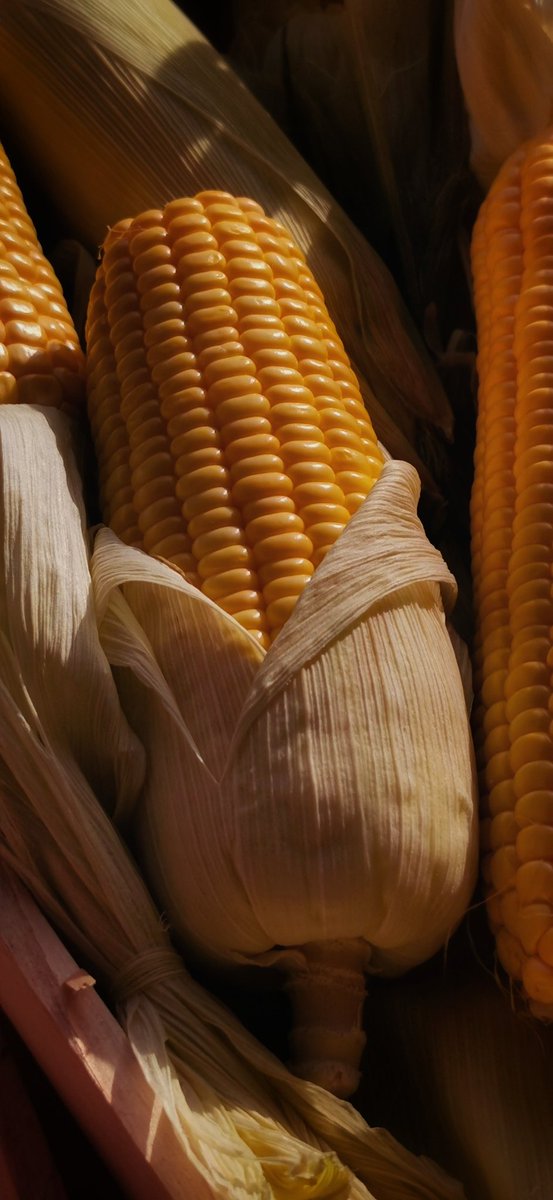 نَــــنــــــــو (@l16nno) on Twitter photo 