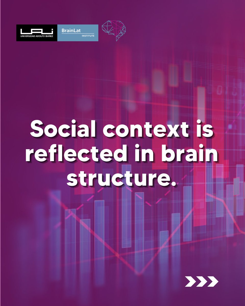 BrainlatUAI's tweet image. Can your country's development level shape your brain?
New study finds:
🧠 Higher HDI → larger hippocampi & cortical surface
⚠️ Higher inequality → thinner cortex & smaller hippocampi
🔗 bit.ly/476oHDY