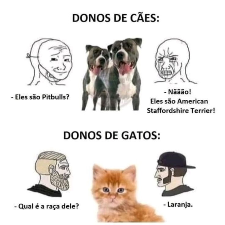 paginalixo1's tweet image. 