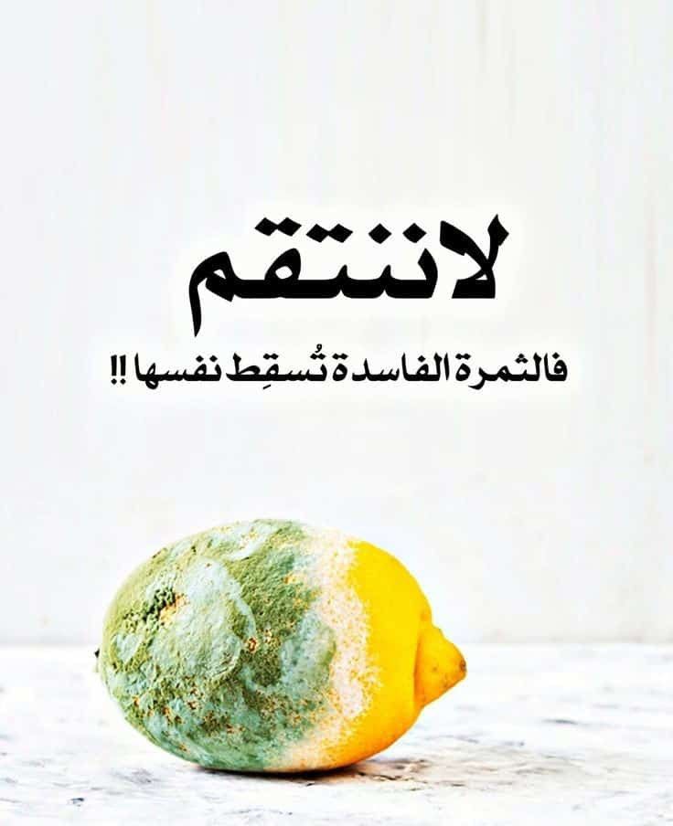 A____2_x's tweet image. لا تنتقم فالزمن كفيلٌ برد الأذى.
دع الثمار الفاسدة تتساقط وحدها، ووفّر طاقتك لما هو أسمى وأنقى.