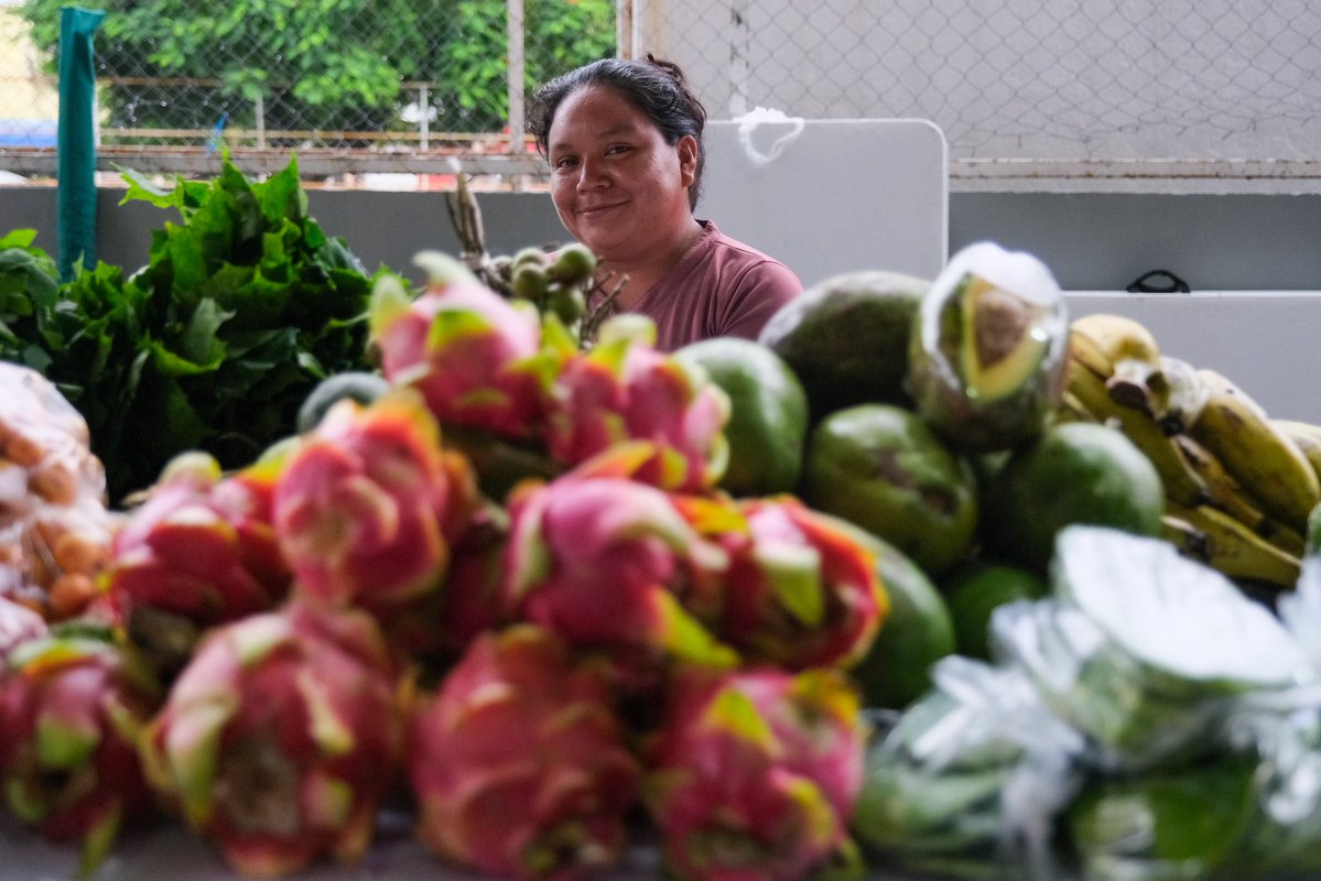MaraLezama's tweet image. 🎉 Inauguramos el Mercado de la Prosperidad Compartida para fortalecer la economía local de productoras, productores, artesanas y artesanos de la zona maya. 🤲🏽🛍️
Con el respaldo de los municipios de Tulum, Bacalar y José María Morelos, este mercado impulsa el trabajo del campo y…