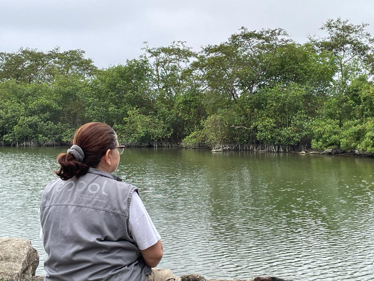 🌿 M. Sc. Gina Andrade impulsa el Festival Embajadores del Manglar por el #DíaDelManglar: juegos, arte y ciencia para proteger este ecosistema vital. 🌊👧🧒
#ManglarEsVida #EducaciónAmbiental #ESPOL #Conservación 💚🦀