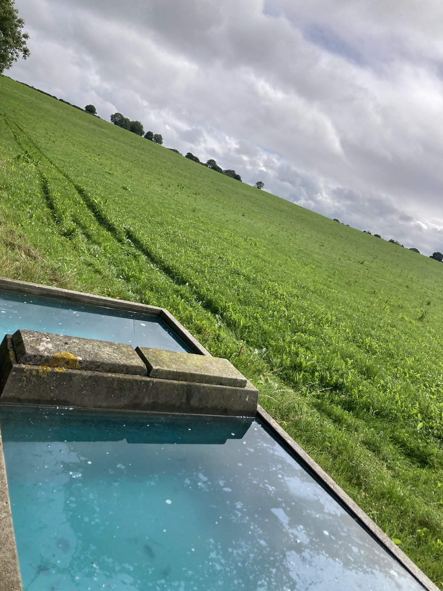 sprinkles785's tweet image. Finally it’s ready 🙄…. Mss or what’s left of it on the menu for tomorrow 👌🏻…. Cows tipping nicely on 0.5 kgs #grasstomilk #oad