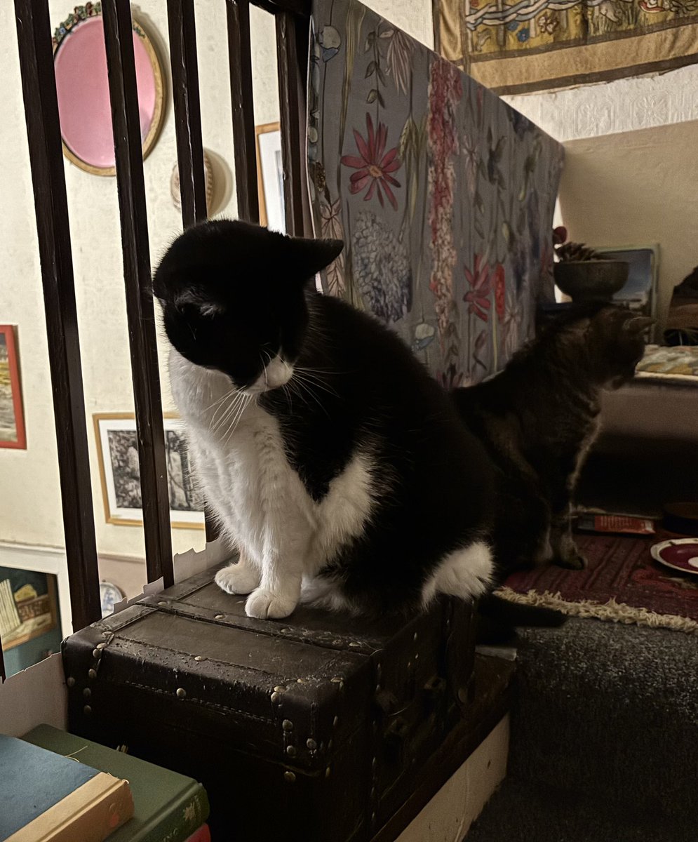 Welcome to the supper queue.